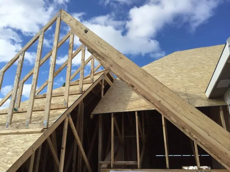Roof rafters and sheathing framed against a blue sky